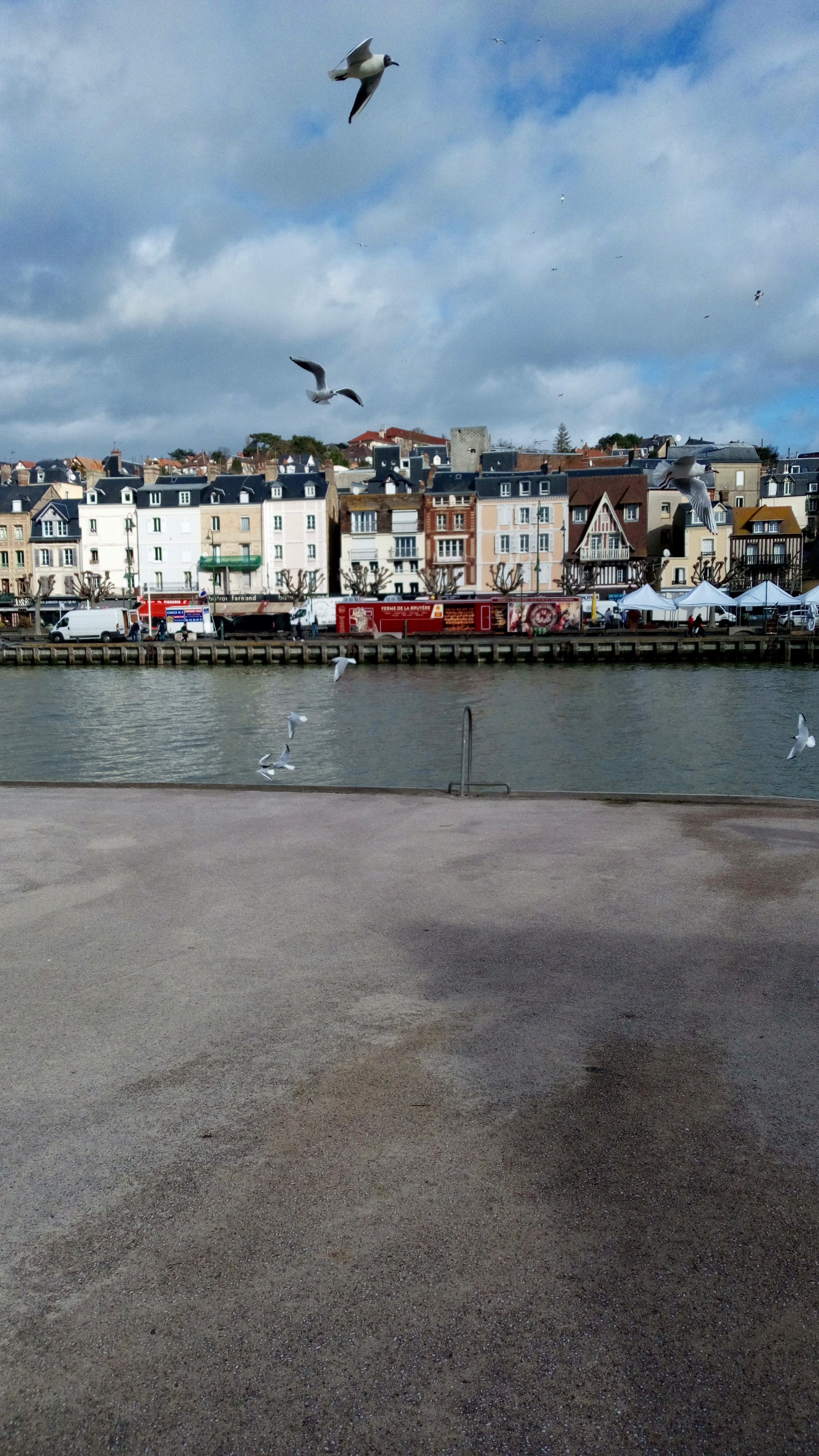 Cette image a un attribut alt vide ; le nom du fichier est wp-1613639088281517522653.jpg