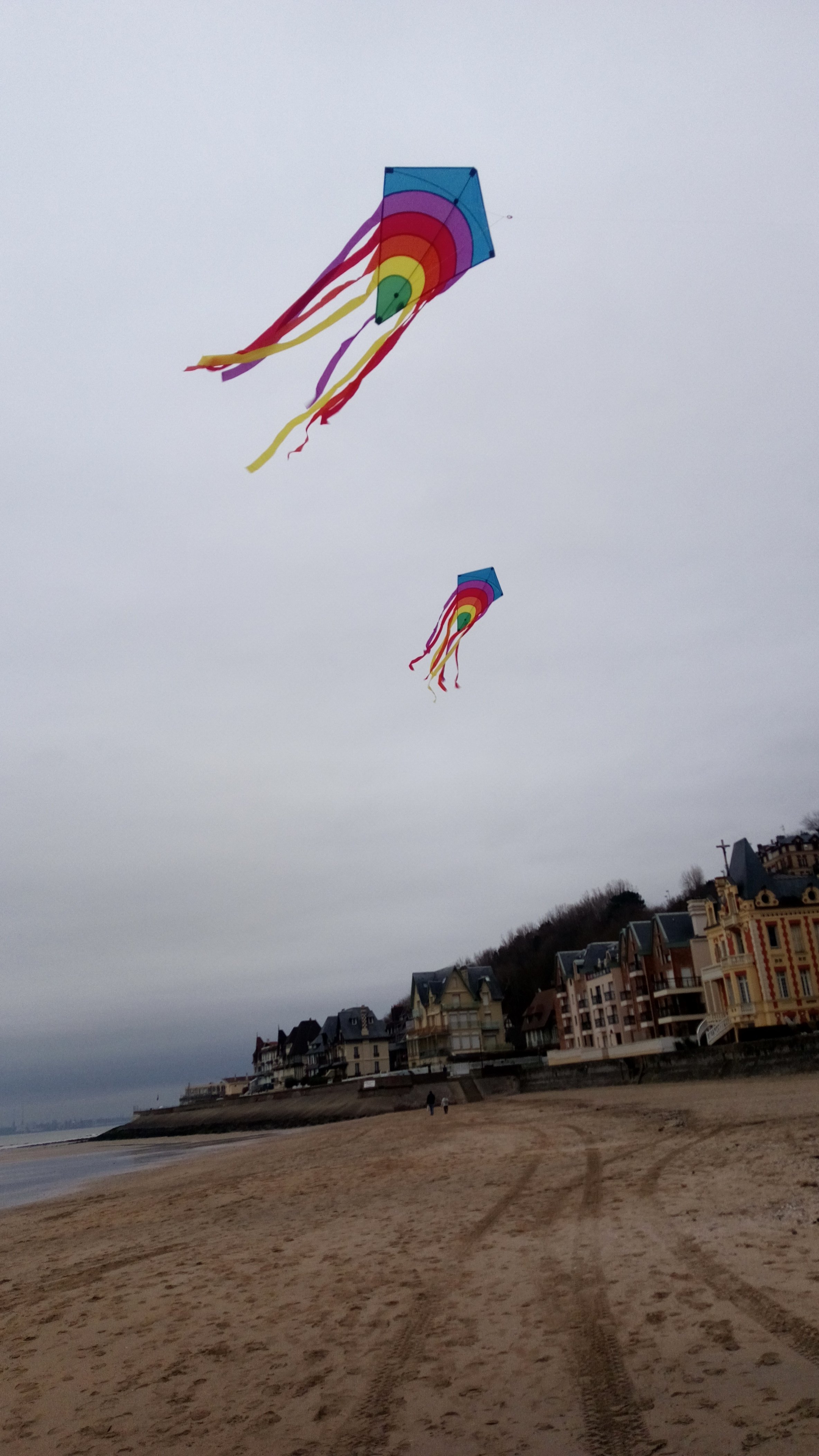 Cette image a un attribut alt vide ; le nom du fichier est wp-1613639450943554855503.jpg